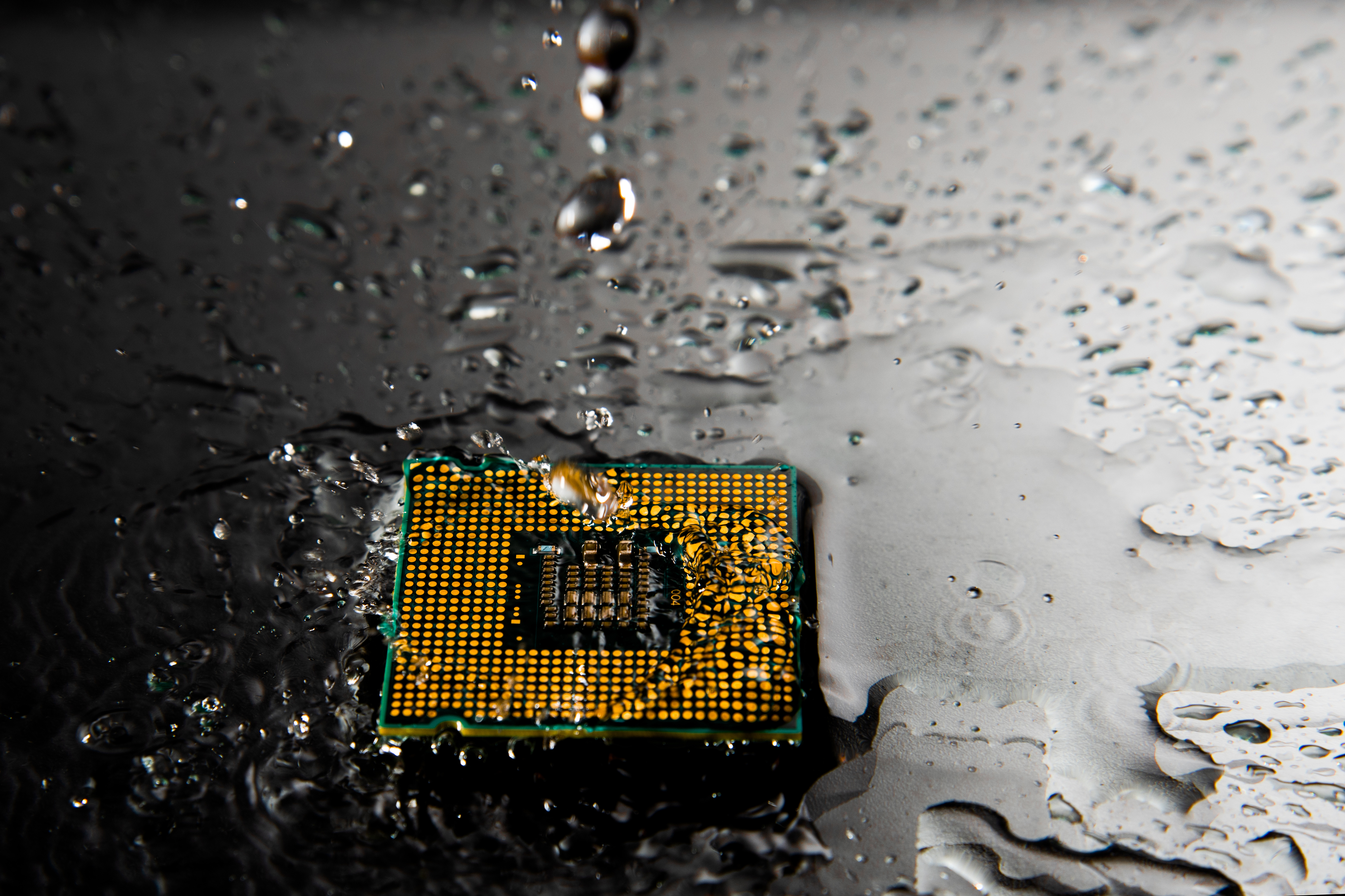 Processor laying in water